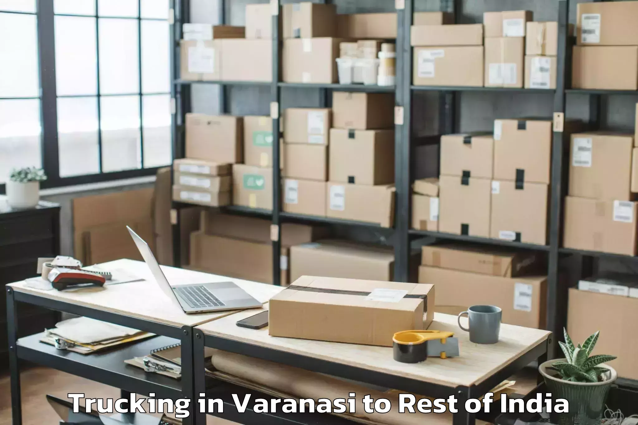 Book Varanasi to Nallabelli Trucking Online